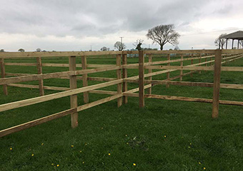 Image showing post and rail fencing